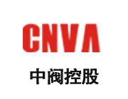 中閥控股（集團）有限公司