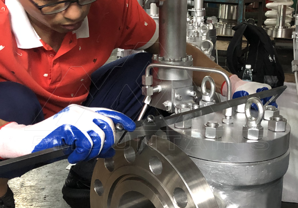 -先導式安全閥突破智能制造短板 加速凝聚科技創新優勢