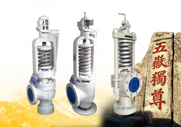 -蒸汽安全閥的功能與應用探討