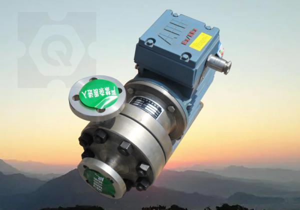 -高壓磁力泵采購(gòu)技巧:選擇上海巧旭的指導(dǎo)與實(shí)踐