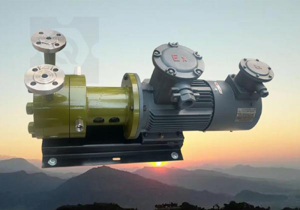 -上海巧旭定制高溫磁力旋渦泵 助力波露明科技高溫反應工藝升級