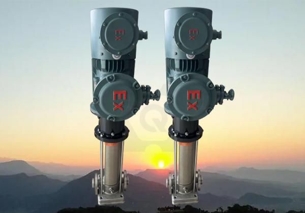 -立式多級磁力泵定制化研發，上海巧旭助力復雜工況穩定輸送