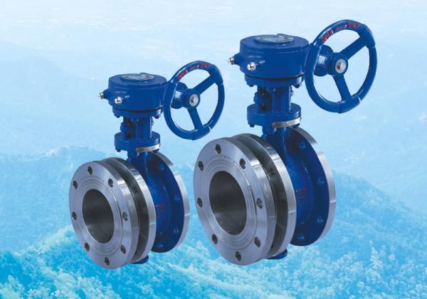 -D343H蝸輪法蘭式三偏心蝶閥應(yīng)用記錄與萬能閥門服務(wù)紀(jì)要